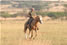 Horse-riding in South Africa 